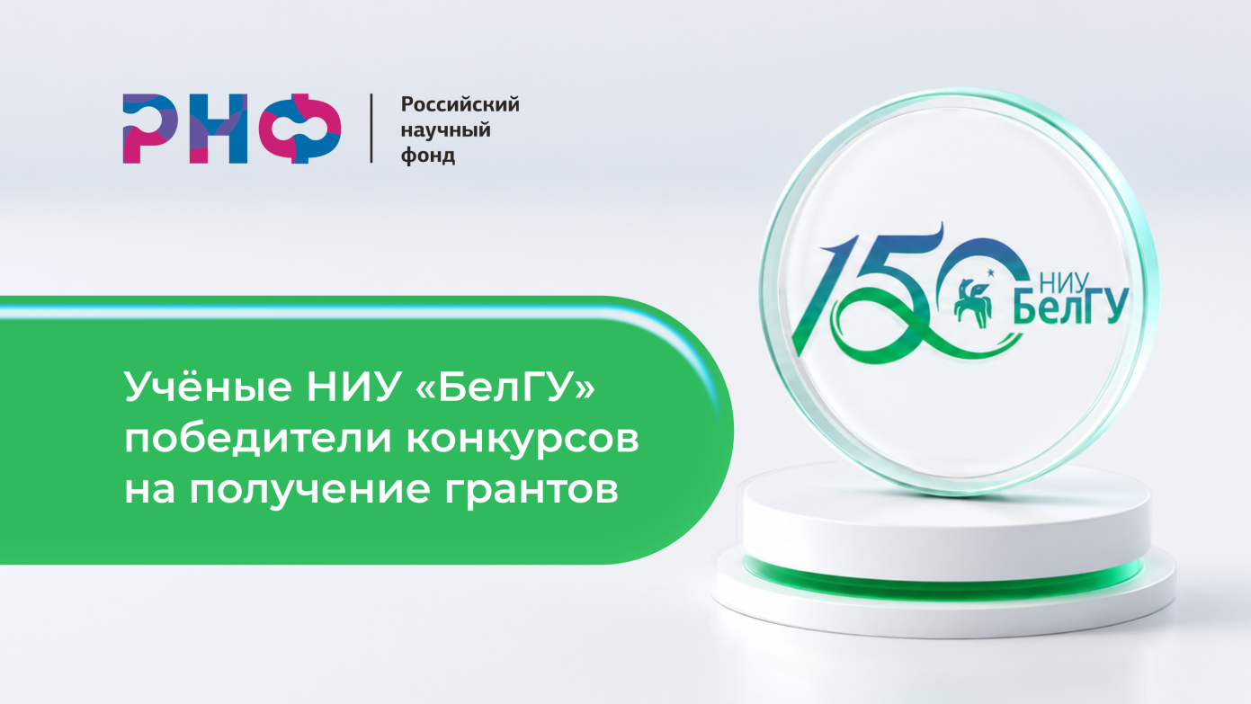 Шесть побед в РНФ: учёные НИУ «БелГУ» получили поддержку на исследования от физики до социологии